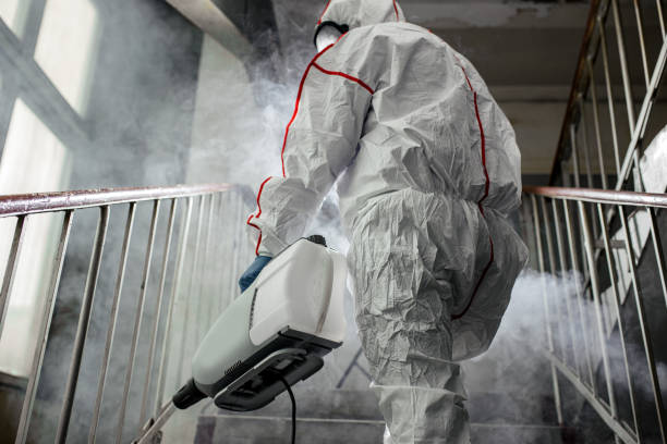 Best Industrial Mold Remediation  in Suncoast Estates, FL